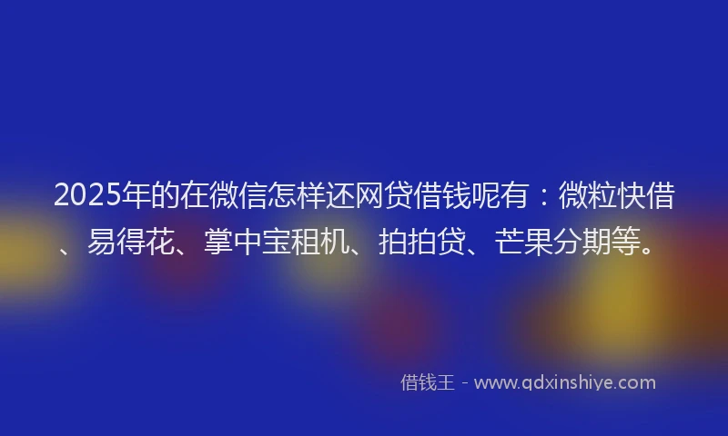 2025年的在微信怎样还网贷借钱呢有：微粒快借、易得花、掌中宝租机、拍拍贷、芒果分期等。