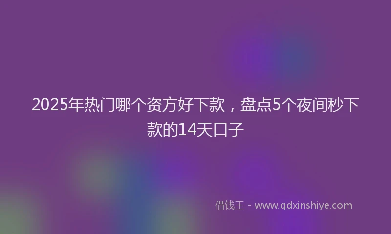 2025年热门哪个资方好下款，盘点5个夜间秒下款的14天口子