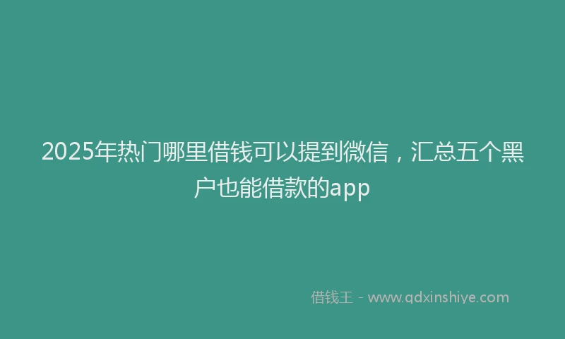 2025年热门哪里借钱可以提到微信，汇总五个黑户也能借款的app