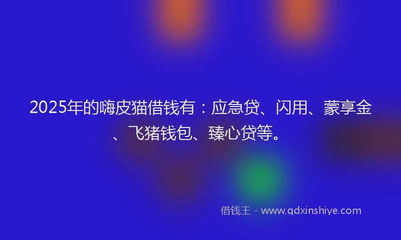 2025年的嗨皮猫借钱有：应急贷、闪用、蒙享金、飞猪钱包、臻心贷等。