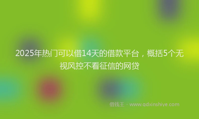 2025年热门可以借14天的借款平台，概括5个无视风控不看征信的网贷