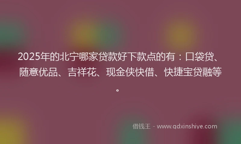 2025年的北宁哪家贷款好下款点的有：口袋贷、随意优品、吉祥花、现金侠快借、快捷宝贷融等。
