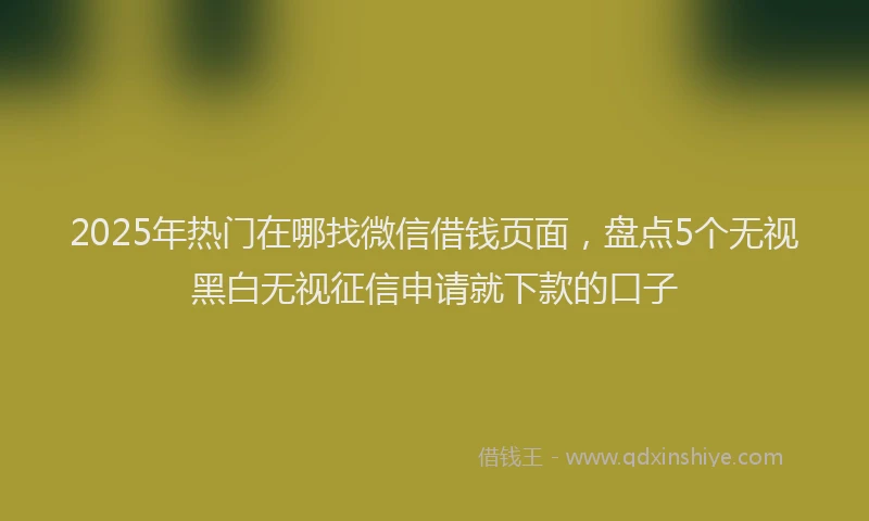 2025年热门在哪找微信借钱页面，盘点5个无视黑白无视征信申请就下款的口子