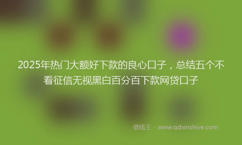 2025年热门大额好下款的良心口子，总结五个不看征信无视黑白百分百下款网贷口子