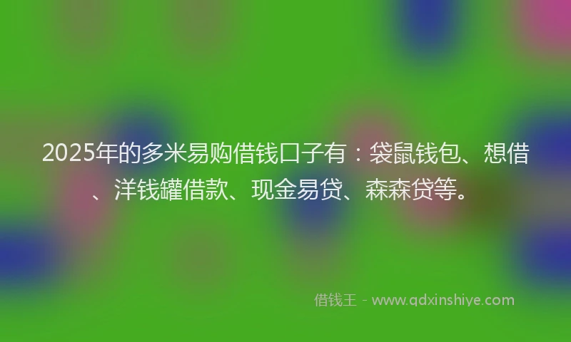 2025年的多米易购借钱口子有：袋鼠钱包、想借、洋钱罐借款、现金易贷、森森贷等。
