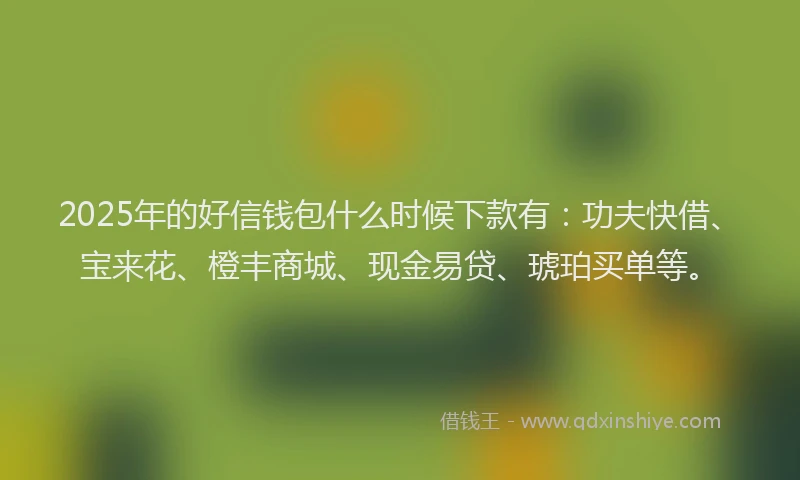 2025年的好信钱包什么时候下款有：功夫快借、宝来花、橙丰商城、现金易贷、琥珀买单等。