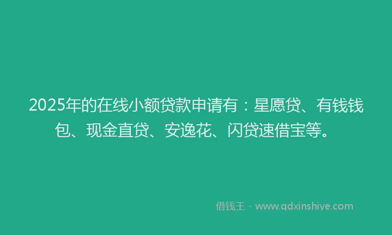 2025年的在线小额贷款申请有：星愿贷、有钱钱包、现金直贷、安逸花、闪贷速借宝等。