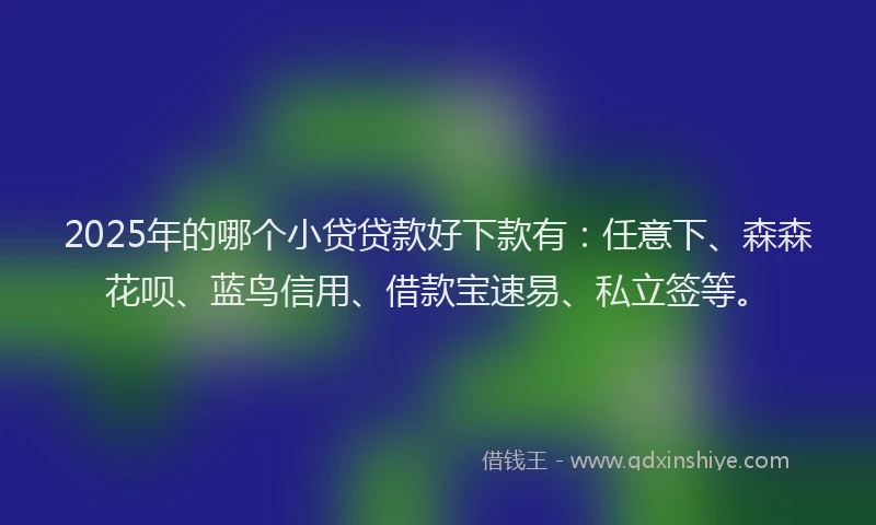 2025年的哪个小贷贷款好下款有：任意下、森森花呗、蓝鸟信用、借款宝速易、私立签等。