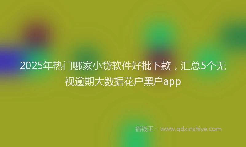 2025年热门哪家小贷软件好批下款，汇总5个无视逾期大数据花户黑户app