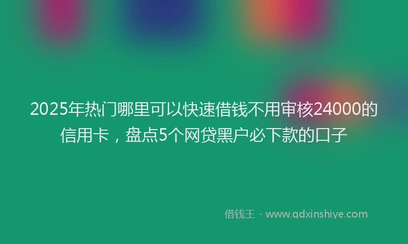 2025年热门哪里可以快速借钱不用审核24000的信用卡，盘点5个网贷黑户必下款的口子