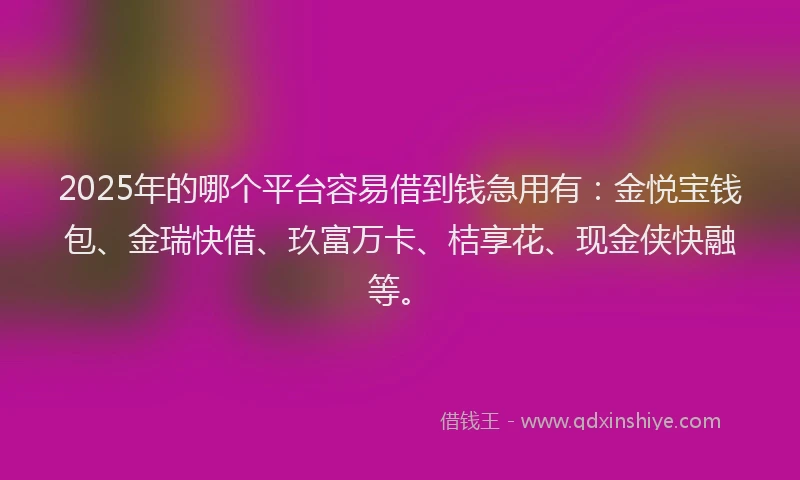 2025年的哪个平台容易借到钱急用有：金悦宝钱包、金瑞快借、玖富万卡、桔享花、现金侠快融等。