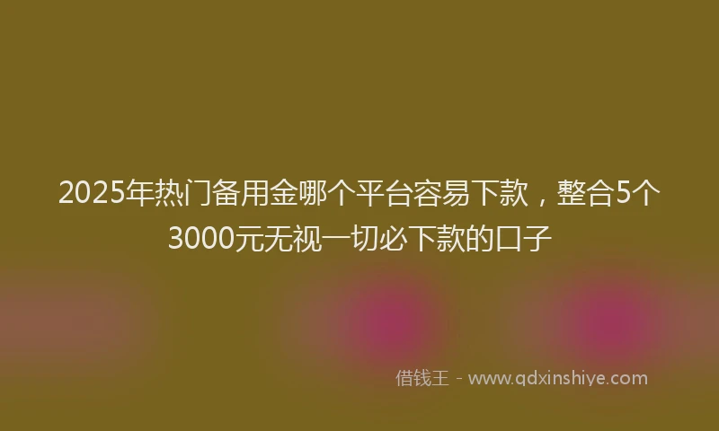 2025年热门备用金哪个平台容易下款，整合5个3000元无视一切必下款的口子