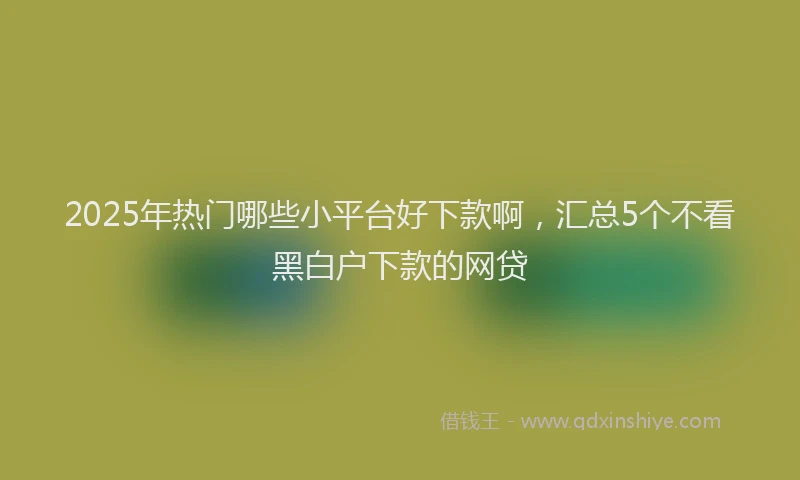 2025年热门哪些小平台好下款啊，汇总5个不看黑白户下款的网贷