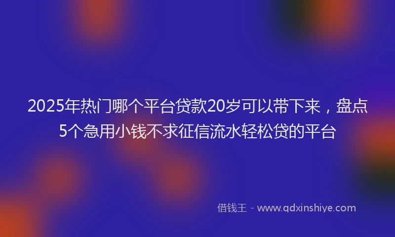 2025年热门哪个平台贷款20岁可以带下来，盘点5个急用小钱不求征信流水轻松贷的平台