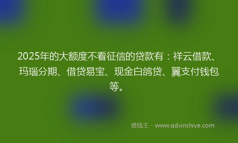 2025年的大额度不看征信的贷款有：祥云借款、玛瑙分期、借贷易宝、现金白鸽贷、翼支付钱包等。