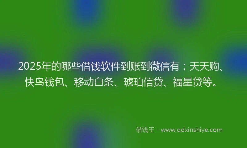 2025年的哪些借钱软件到账到微信有：天天购、快鸟钱包、移动白条、琥珀信贷、福星贷等。