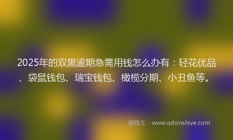 2025年的双黑逾期急需用钱怎么办有：轻花优品、袋鼠钱包、瑞宝钱包、橄榄分期、小丑鱼等。