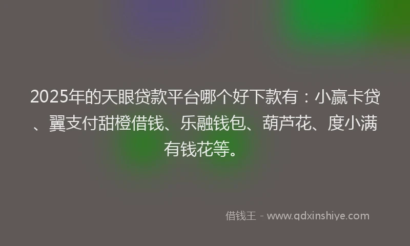 2025年的天眼贷款平台哪个好下款有：小赢卡贷、翼支付甜橙借钱、乐融钱包、葫芦花、度小满有钱花等。