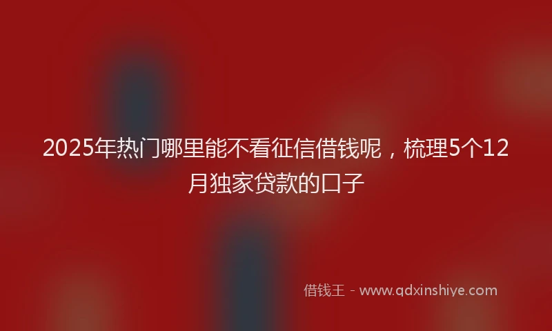 2025年热门哪里能不看征信借钱呢，梳理5个12月独家贷款的口子