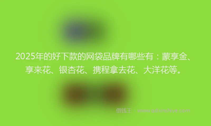 2025年的好下款的网袋品牌有哪些有：蒙享金、享来花、银杏花、携程拿去花、大洋花等。