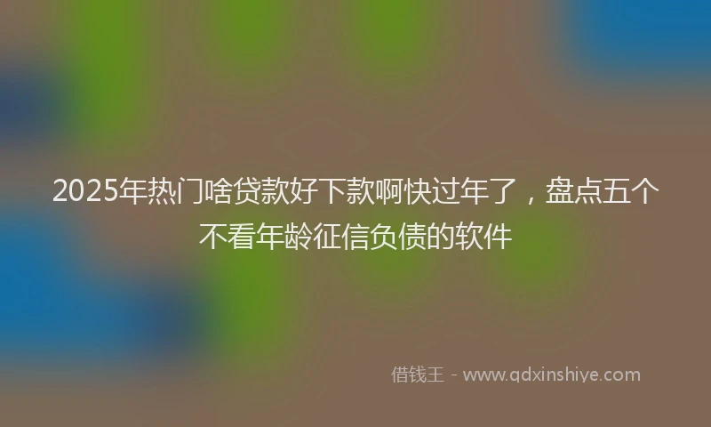 2025年热门啥贷款好下款啊快过年了，盘点五个不看年龄征信负债的软件
