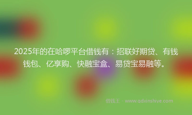 2025年的在哈啰平台借钱有：招联好期贷、有钱钱包、亿享购、快融宝盒、易贷宝易融等。