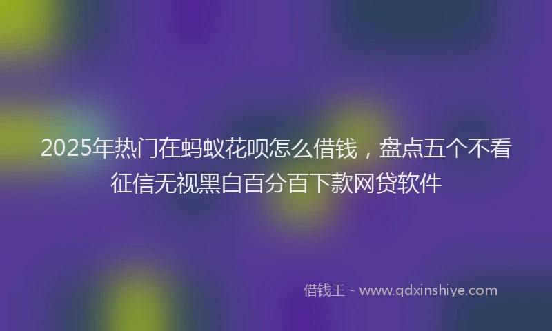 2025年热门在蚂蚁花呗怎么借钱，盘点五个不看征信无视黑白百分百下款网贷软件