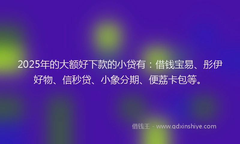 2025年的大额好下款的小贷有：借钱宝易、彤伊好物、信秒贷、小象分期、便荔卡包等。
