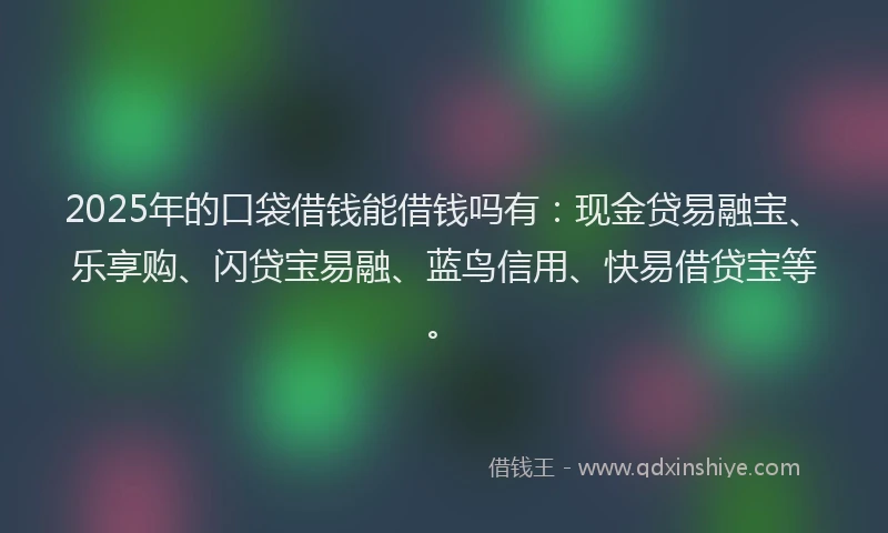2025年的口袋借钱能借钱吗有：现金贷易融宝、乐享购、闪贷宝易融、蓝鸟信用、快易借贷宝等。