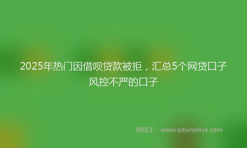 2025年热门因借呗贷款被拒，汇总5个网贷口子风控不严的口子
