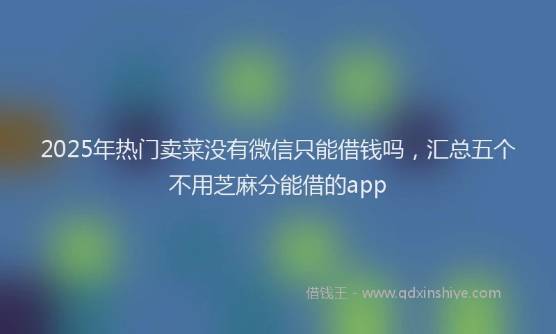 2025年热门卖菜没有微信只能借钱吗，汇总五个不用芝麻分能借的app