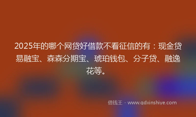2025年的哪个网贷好借款不看征信的有：现金贷易融宝、森森分期宝、琥珀钱包、分子贷、融逸花等。