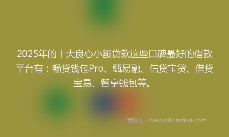 2025年的十大良心小额贷款这些口碑最好的借款平台有：畅贷钱包Pro、甄易融、信贷宝贷、借贷宝易、智享钱包等。
