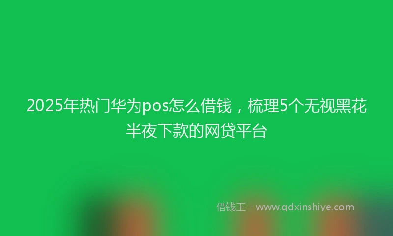 2025年热门华为pos怎么借钱，梳理5个无视黑花半夜下款的网贷平台