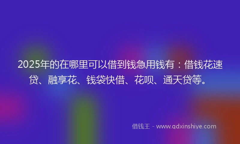 2025年的在哪里可以借到钱急用钱有：借钱花速贷、融享花、钱袋快借、花呗、通天贷等。