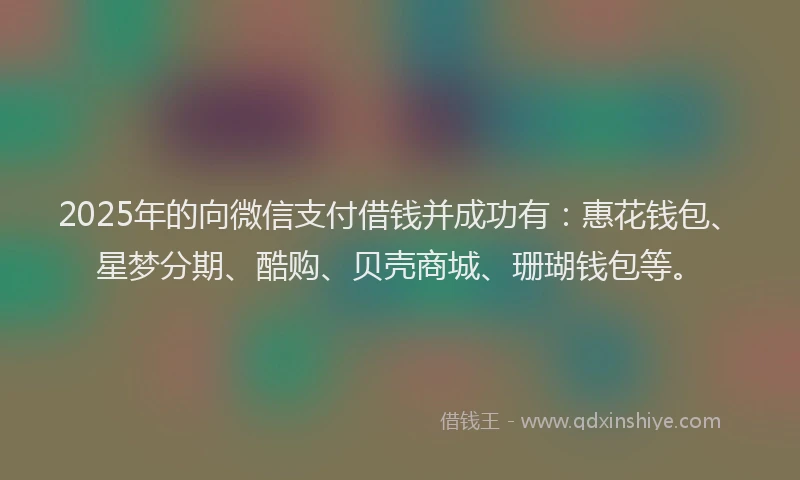 2025年的向微信支付借钱并成功有：惠花钱包、星梦分期、酷购、贝壳商城、珊瑚钱包等。