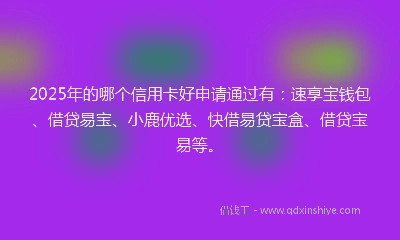 2025年的哪个信用卡好申请通过有：速享宝钱包、借贷易宝、小鹿优选、快借易贷宝盒、借贷宝易等。