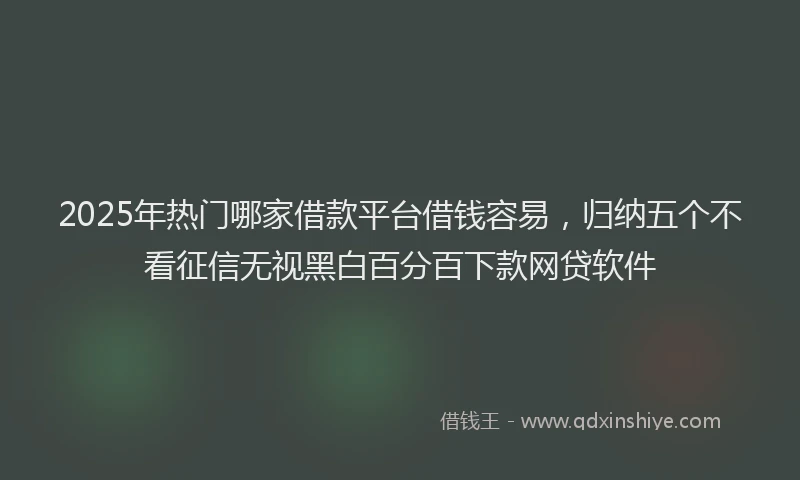 2025年热门哪家借款平台借钱容易，归纳五个不看征信无视黑白百分百下款网贷软件