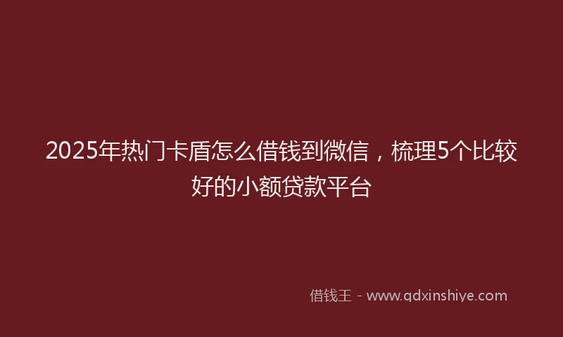 2025年热门卡盾怎么借钱到微信，梳理5个比较好的小额贷款平台