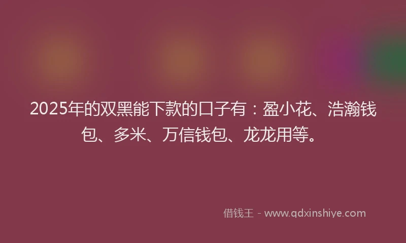 2025年的双黑能下款的口子有：盈小花、浩瀚钱包、多米、万信钱包、龙龙用等。