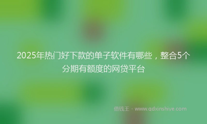2025年热门好下款的单子软件有哪些，整合5个分期有额度的网贷平台