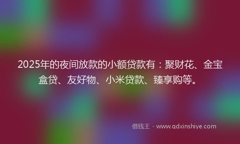 2025年的夜间放款的小额贷款有：聚财花、金宝盒贷、友好物、小米贷款、臻享购等。