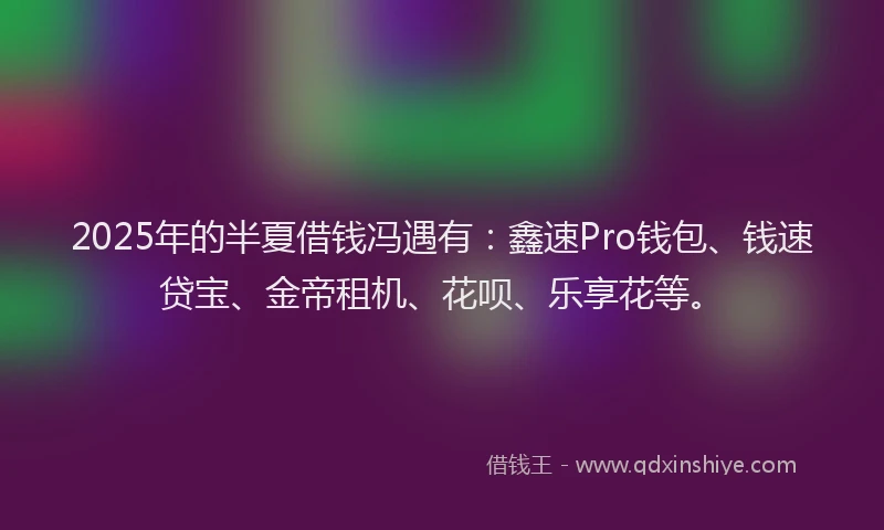 2025年的半夏借钱冯遇有：鑫速Pro钱包、钱速贷宝、金帝租机、花呗、乐享花等。