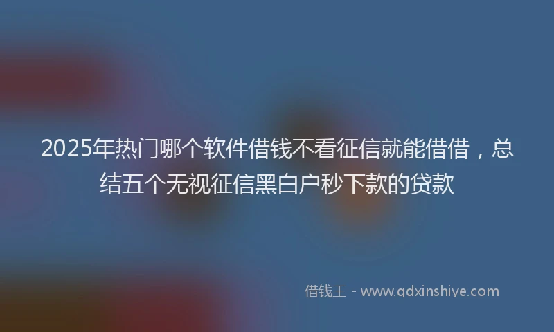 2025年热门哪个软件借钱不看征信就能借借，总结五个无视征信黑白户秒下款的贷款