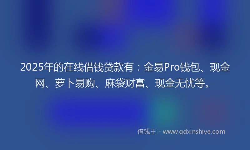 2025年的在线借钱贷款有：金易Pro钱包、现金网、萝卜易购、麻袋财富、现金无忧等。