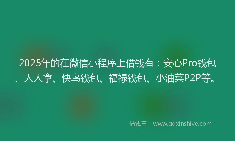 2025年的在微信小程序上借钱有：安心Pro钱包、人人拿、快鸟钱包、福禄钱包、小油菜P2P等。