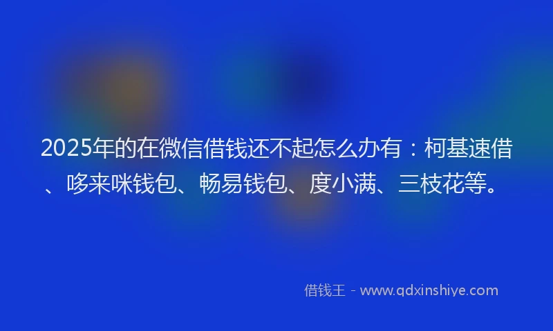 2025年的在微信借钱还不起怎么办有：柯基速借、哆来咪钱包、畅易钱包、度小满、三枝花等。