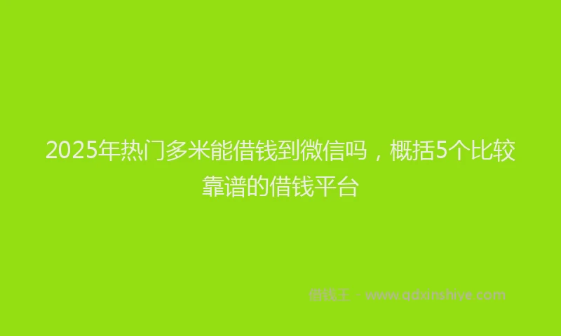 2025年热门多米能借钱到微信吗，概括5个比较靠谱的借钱平台