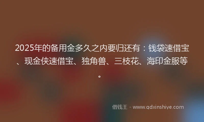 2025年的备用金多久之内要归还有：钱袋速借宝、现金侠速借宝、独角兽、三枝花、海印金服等。