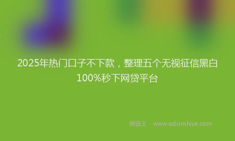 2025年热门口子不下款，整理五个无视征信黑白100%秒下网贷平台